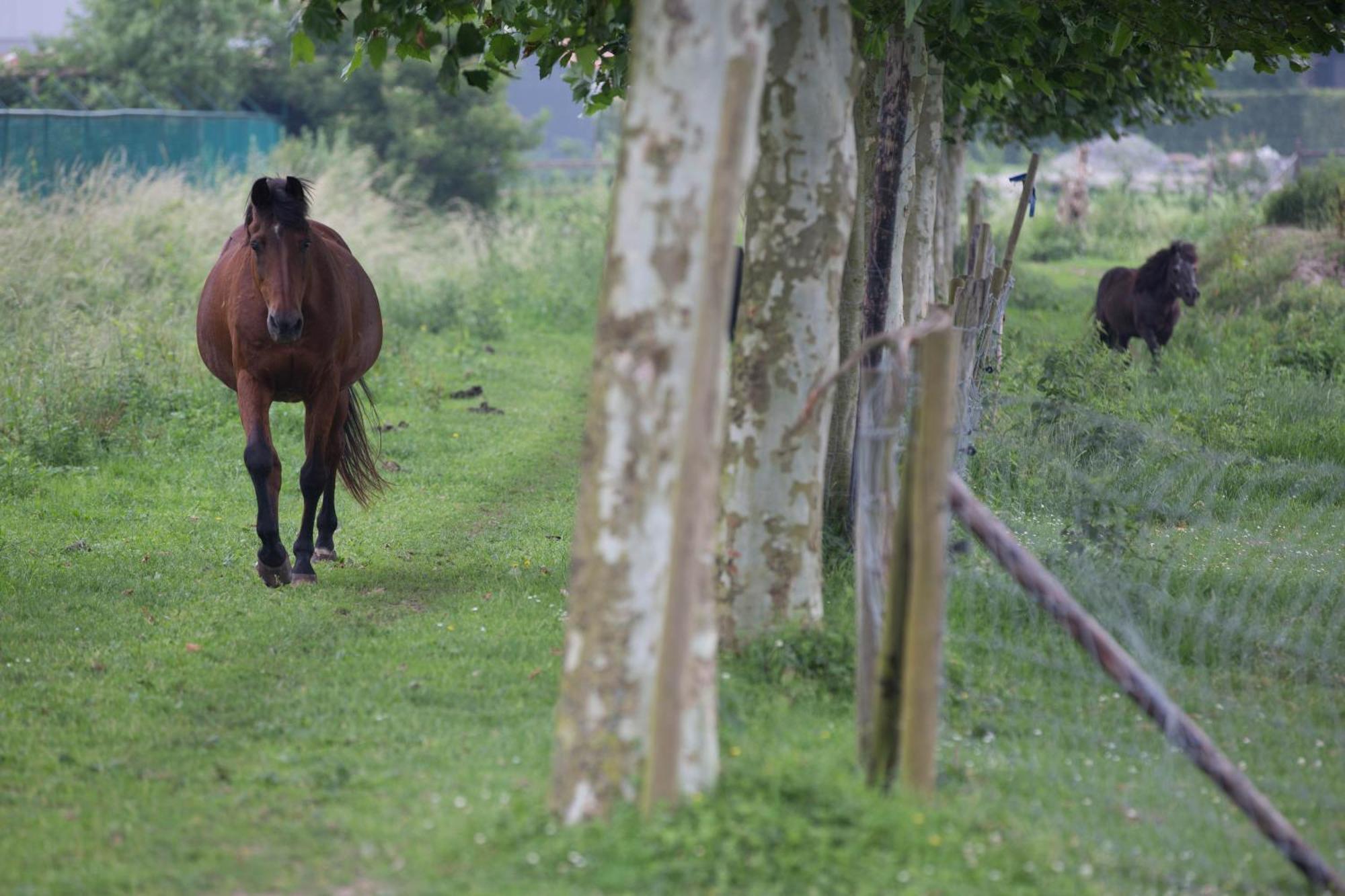 Boutique Hotel Het Zoete Zijn Borgloon Esterno foto